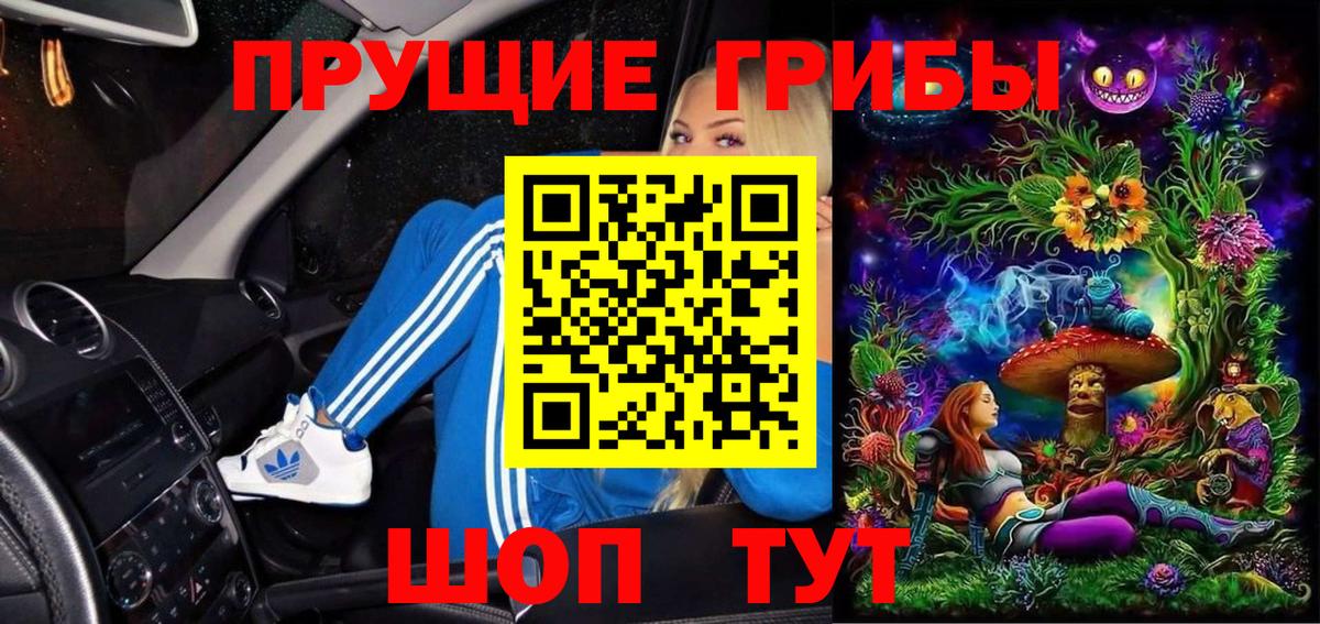 купить наркотики цена  Вход с VPN  Галлюциногенные грибы мухоморы  Тавда  Псилоцибиновые грибы ЛСД 