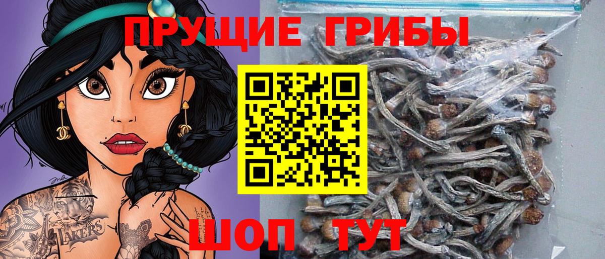 Галлюциногенные грибы Magic Shrooms Тавда